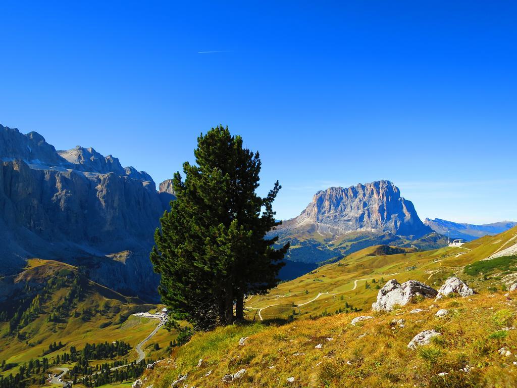 Hotel La Pineta Selva di Val Gardena Ngoại thất bức ảnh